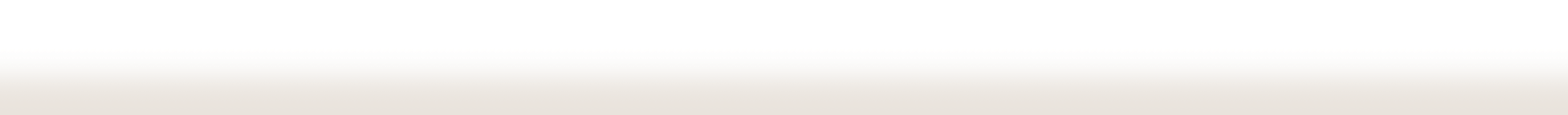 Header image decorative bottom image